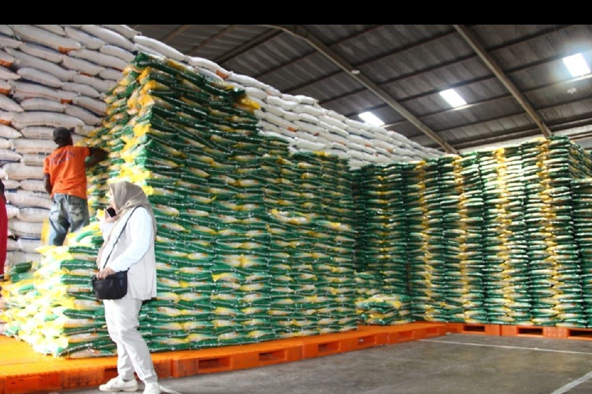 Artikel - Menjaga produksi beras dari dampak El Nino
