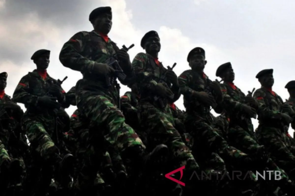 Anggota DPR apresiasi TNI proses cepat oknum terlibat penganiayaan
