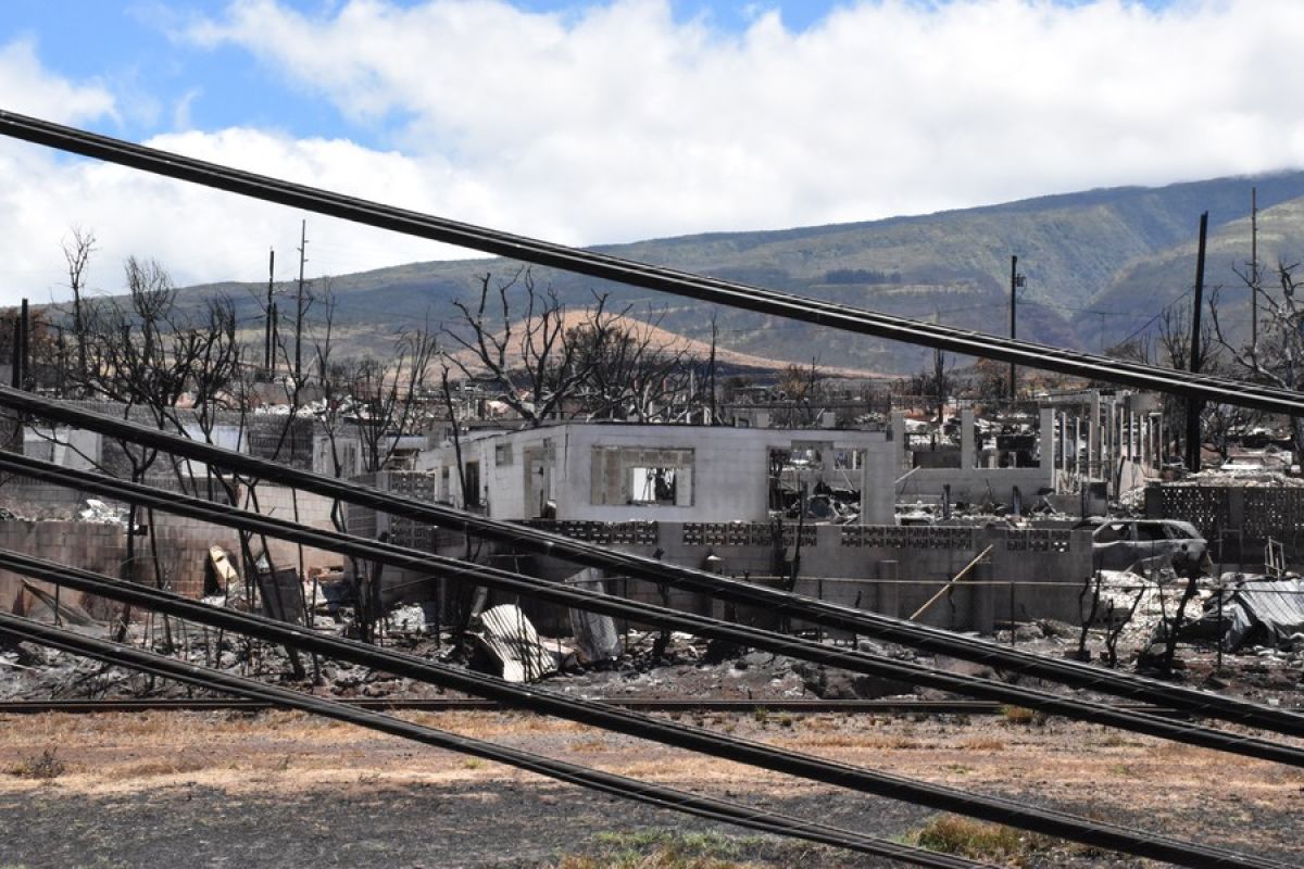 Hawaiian Electric sayangkan gugatan Maui County soal kebakaran hutan