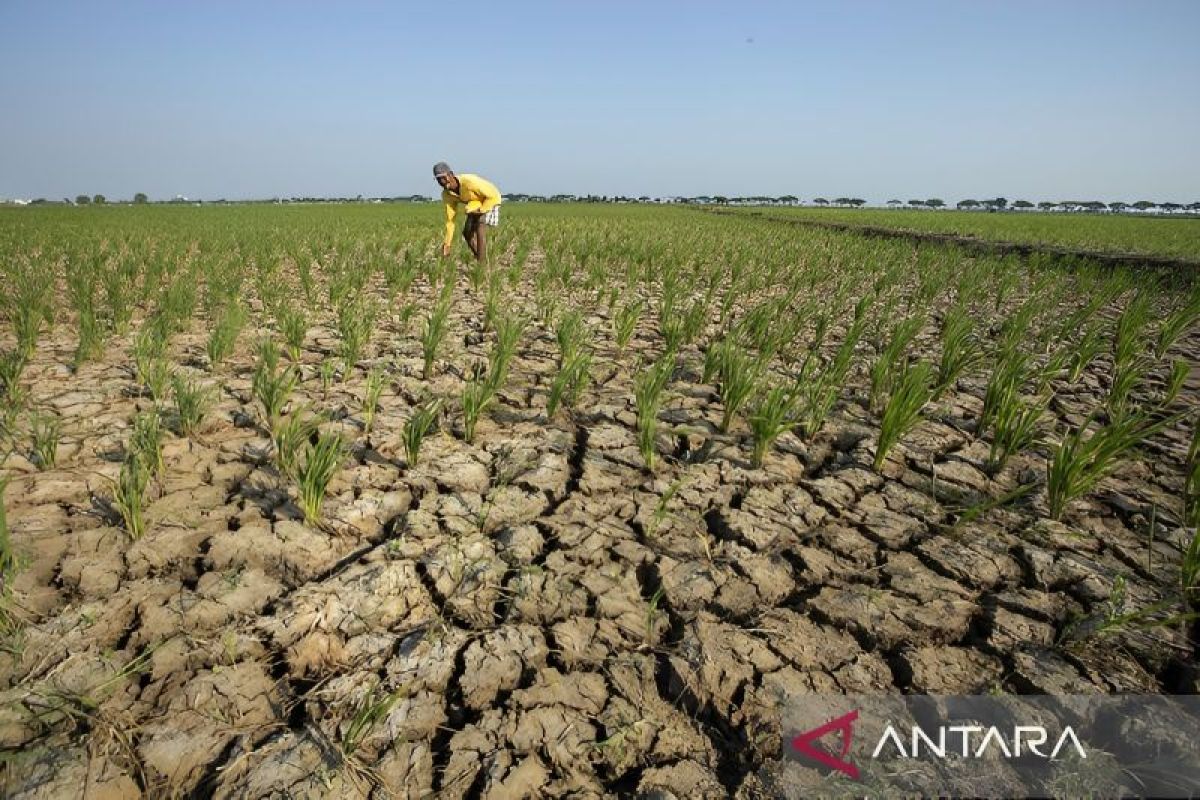 Dinas Pertanian Kabupaten Poso aktifkan kembali pompa air bantuan pemerintah