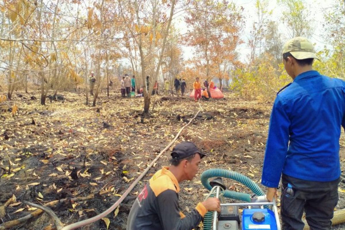 BMKG minta warga waspada potensi karhutla di Kalteng