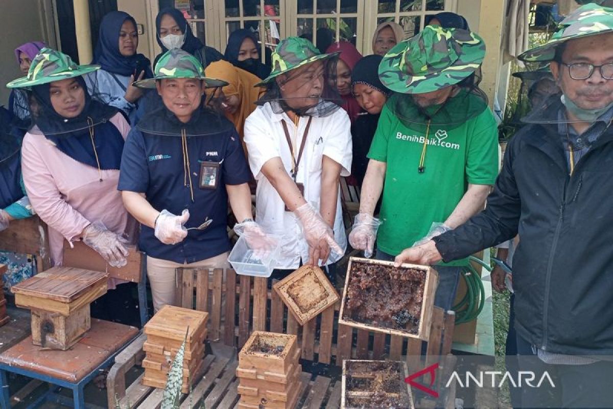 PNM siapkan Desa Langgongsari Banyumas sebagai sentra madu klanceng