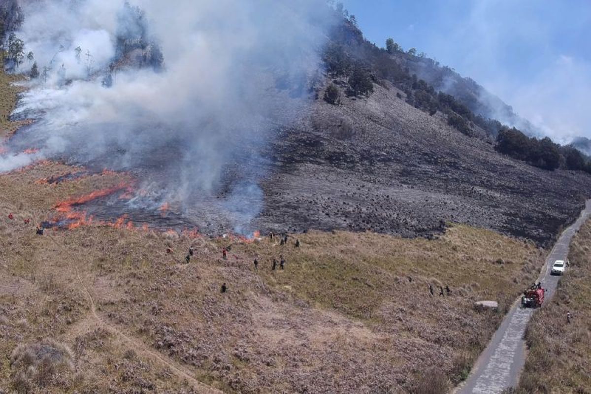 BB TNBTS sebut aktivitas wisata Bromo tidak terganggu kebakaran savana