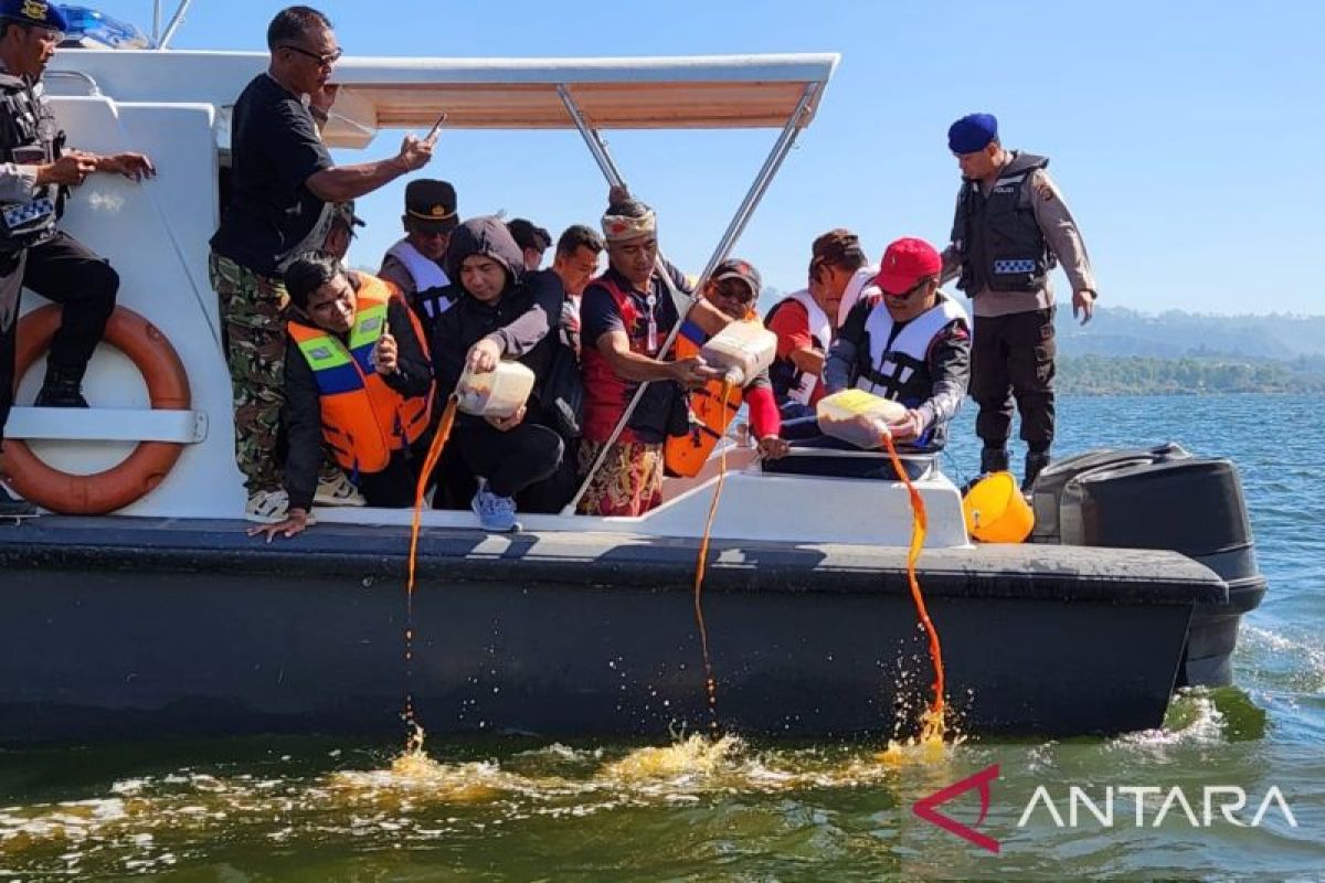Pemkab Bangli tebar 150.000 benih ikan nila di Danau Batur