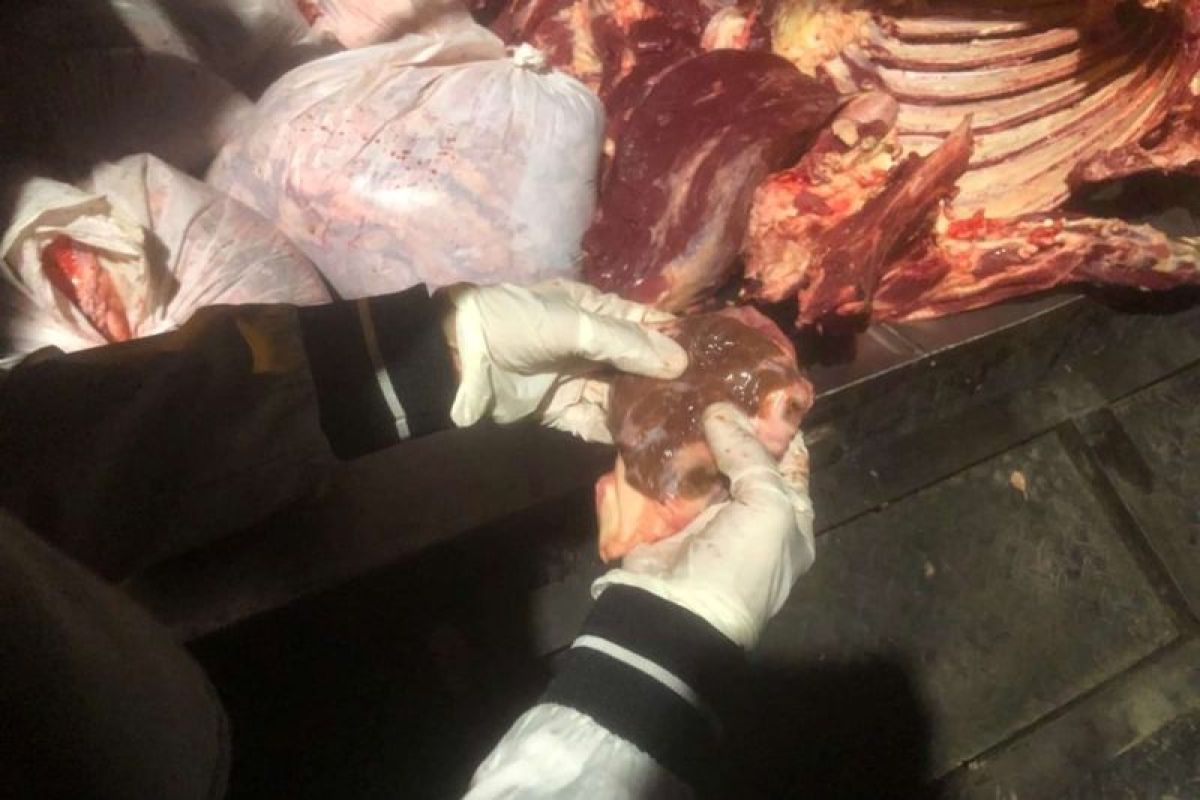 DKPP Surabaya uji sampel cegah peredaran daging gelonggong