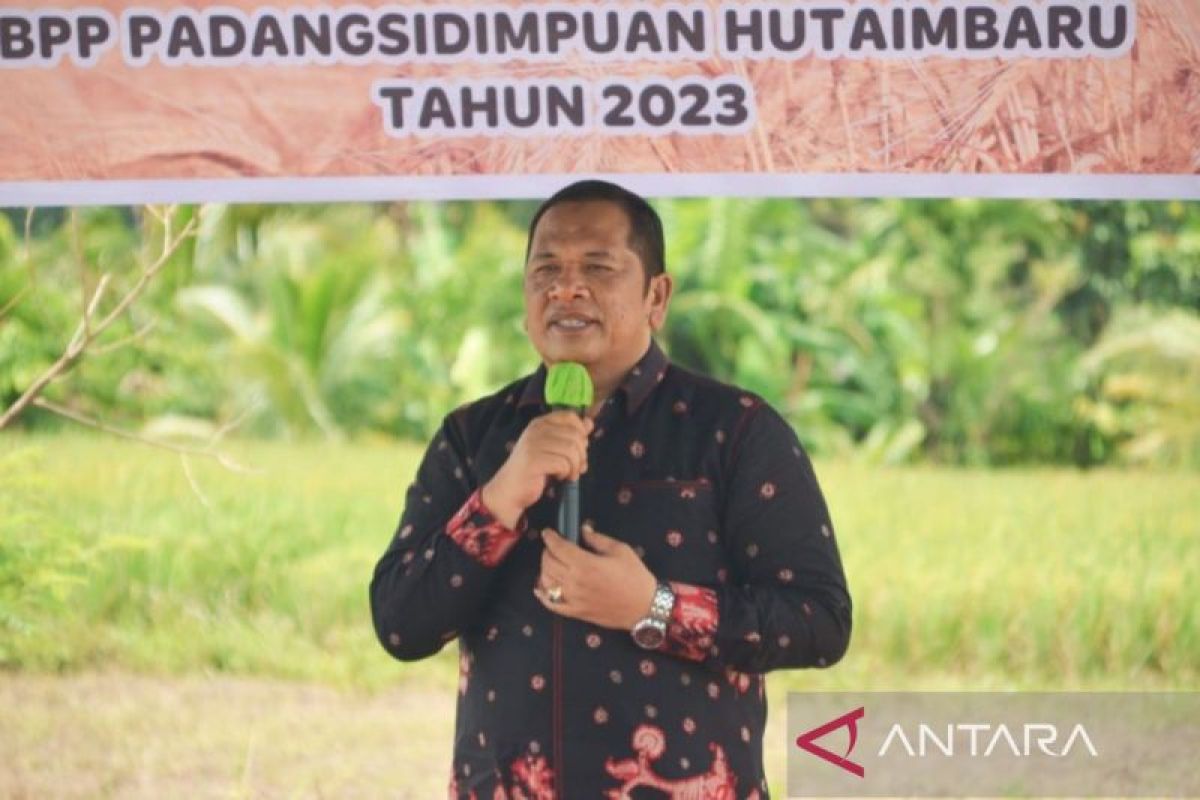 Pemkot Padangsidimpuan edukasi  petani kembangkan pertanian organik