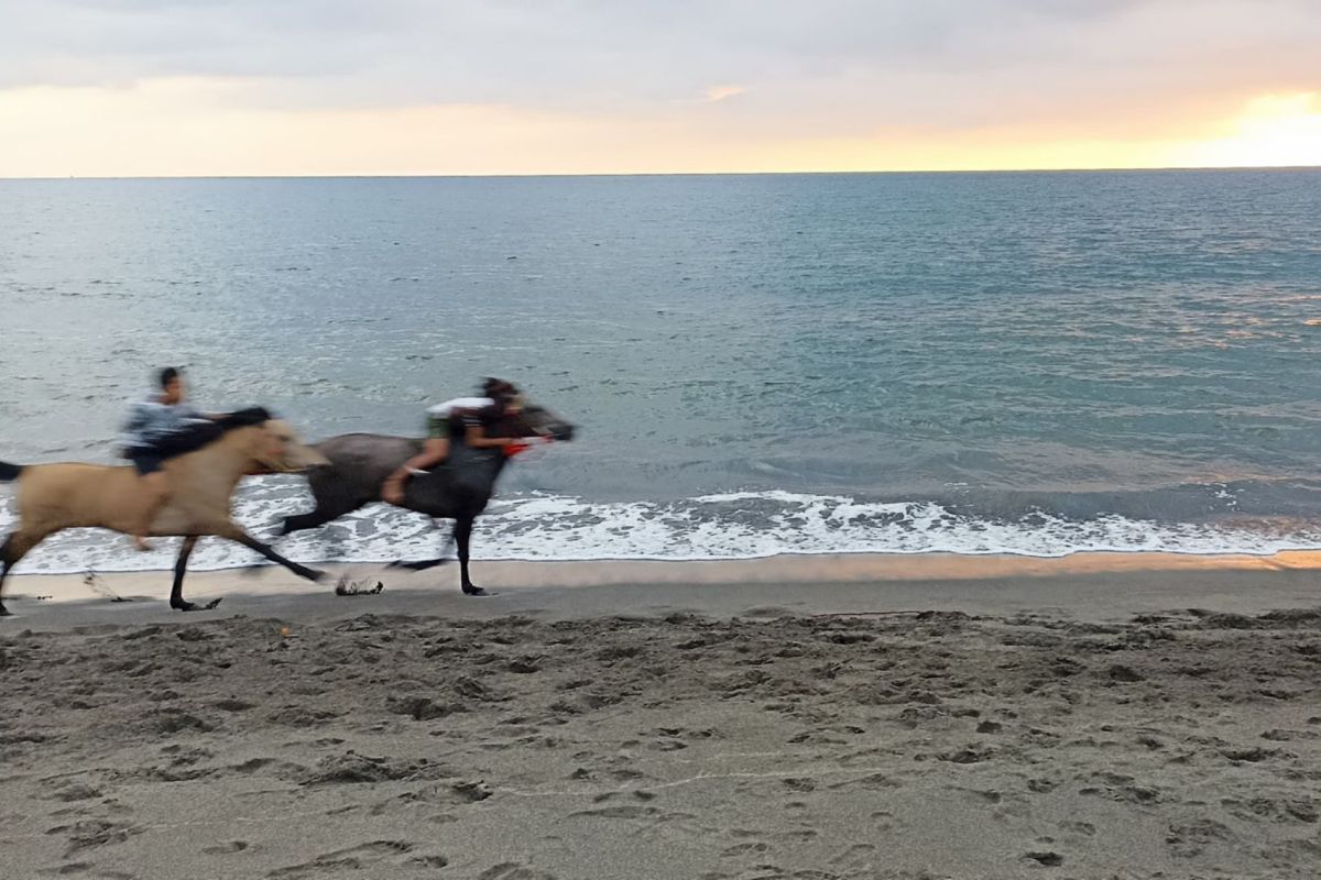 Balapan kuda di Pantai Ampenan bersama sunset
