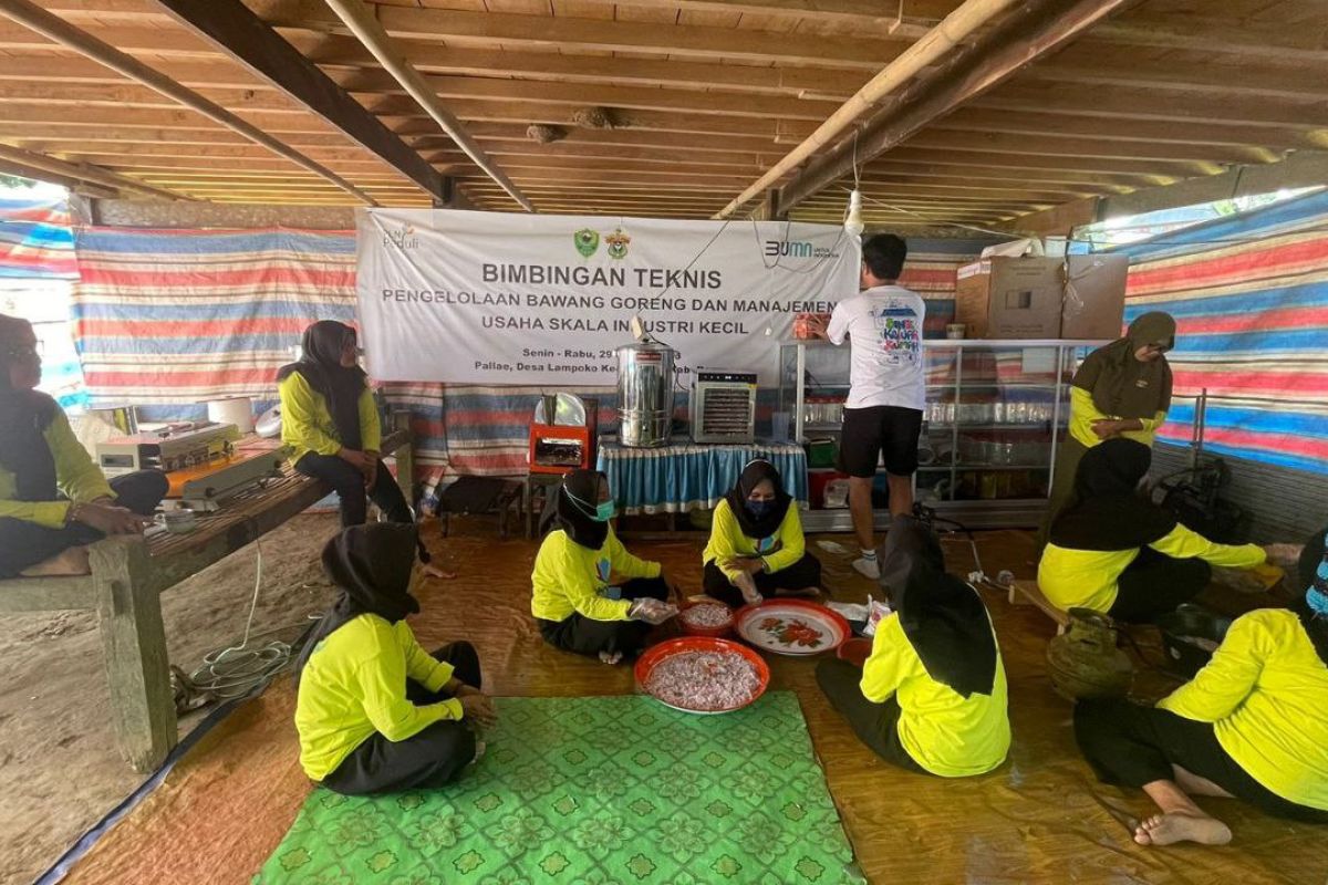 PLN UIP Sulawesi perlancar produksi bawang goreng UMKM KWT