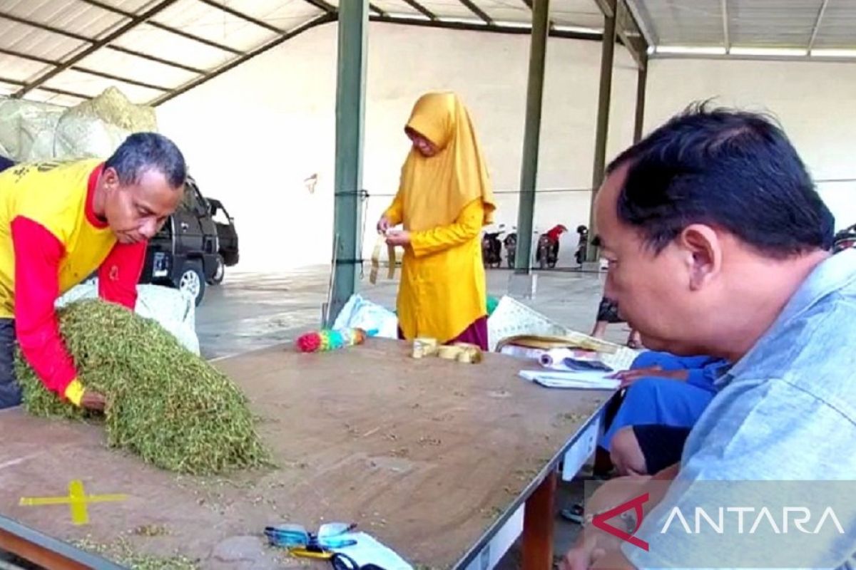 APTI harap capres berani berpihak untuk petani tembakau