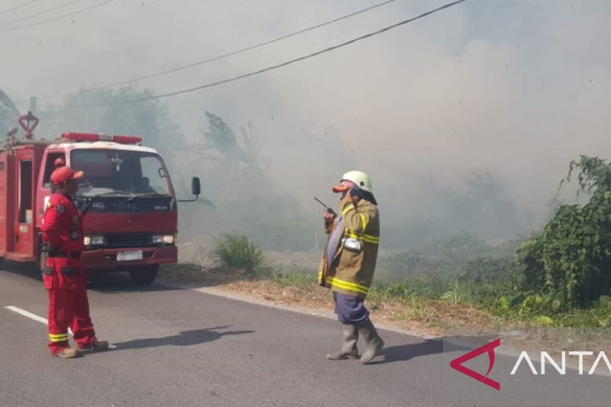 Damkar Belitung padamkan api yang bakar hutan seluas tiga hektare