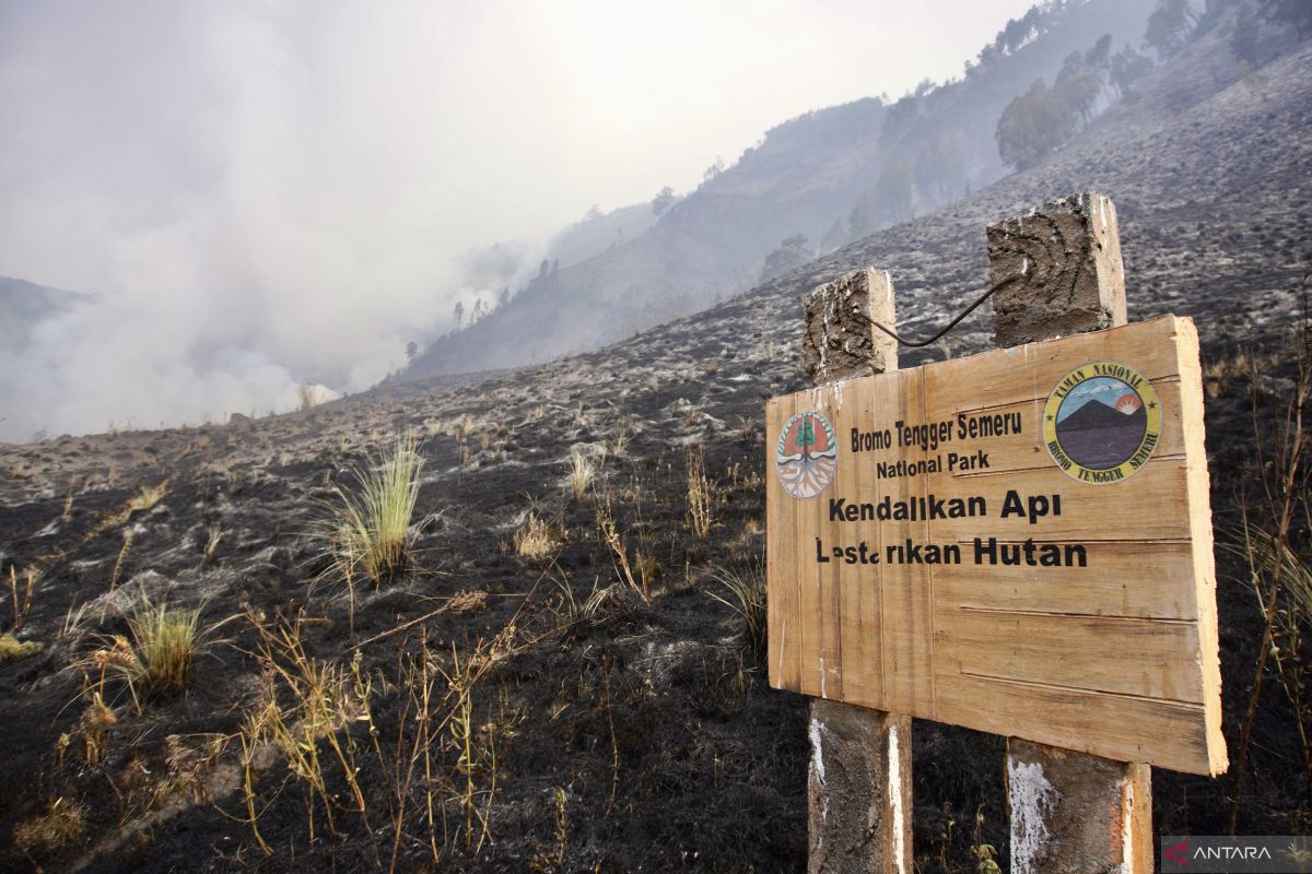 Akses ke Gunung Bromo kembali dibuka pasca kebakaran