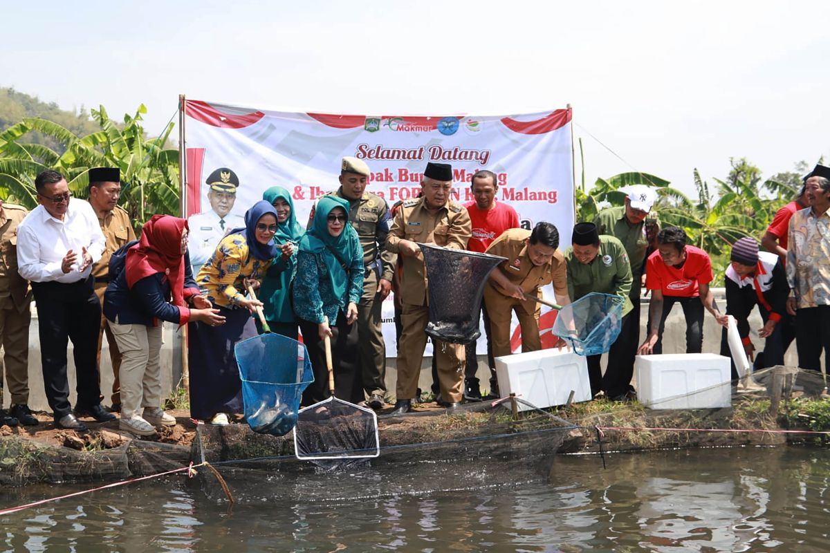 Pemkab Malang sebut potensi budidaya ikan air tawar menjanjikan