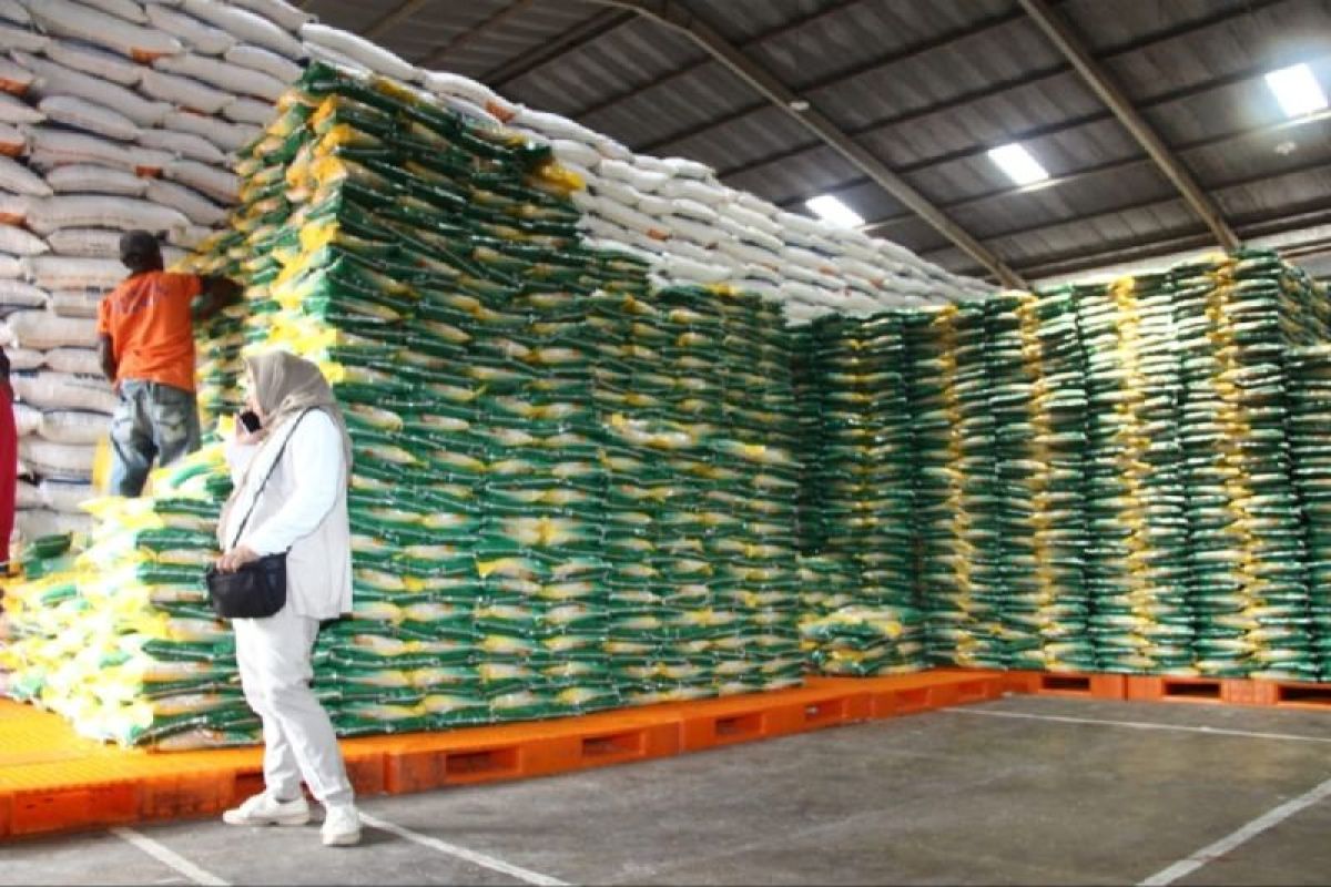 Perum Bulog: stok beras di tanah Papua capai 53.284 ton