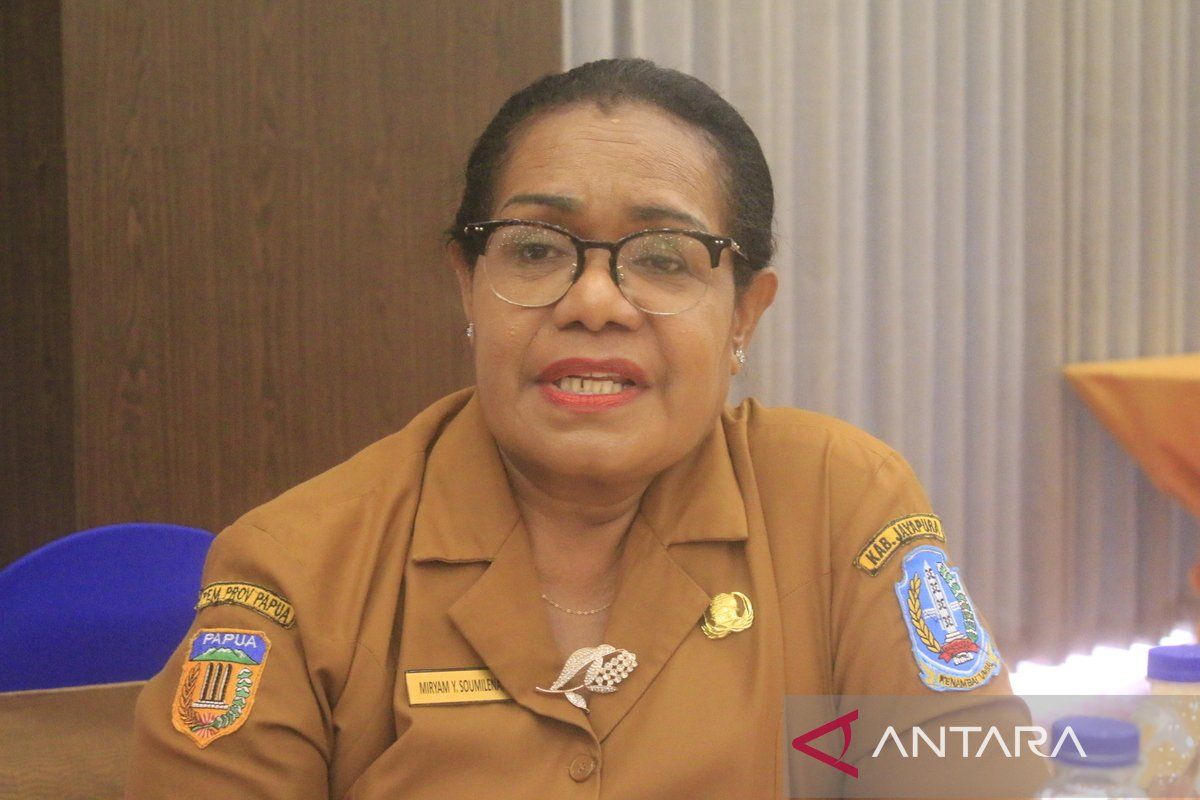 Kepala DP3A Jayapura: Pernikahan dini bentuk kekerasan kepada perempuan