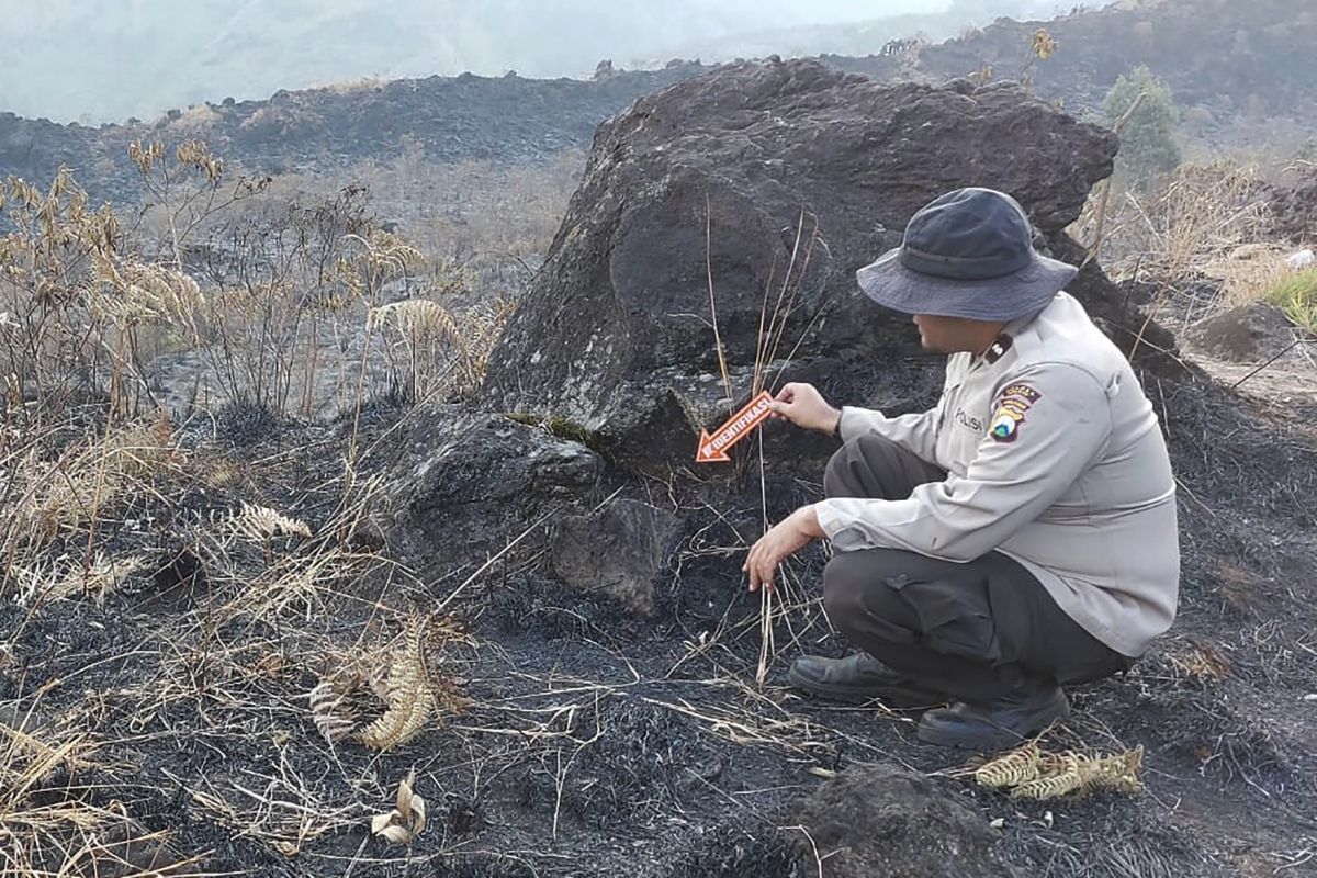 Polisi olah TKP lokasi kebakaran di lereng Arjuno