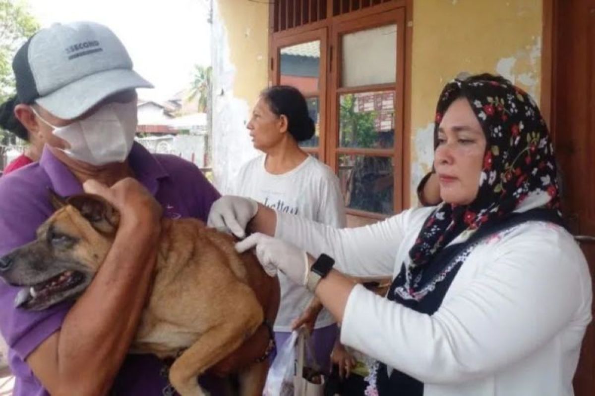 Dinas KP3 Kota Medan vaksin 1.588 ekor hewan peliharaan di Medan Tuntungan
