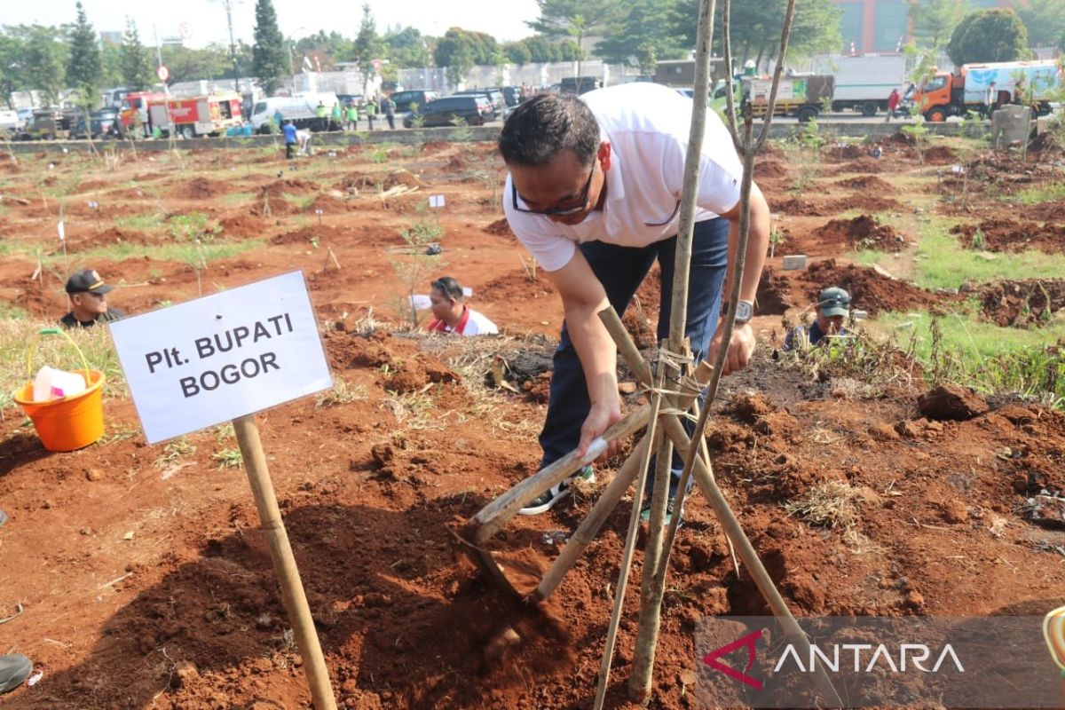 Ketua DPRD Bogor kiritik penanaman pohon di lahan untuk masjid