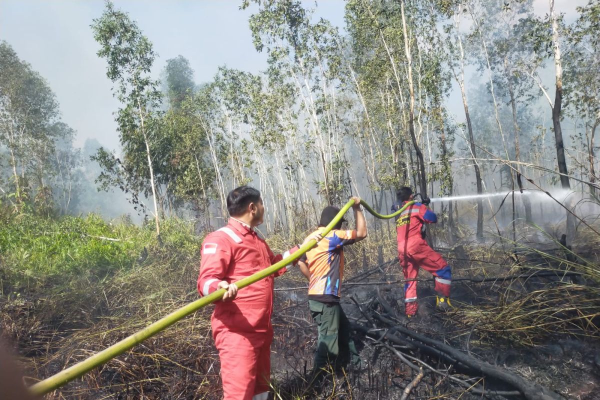 140 hektar lahan terbakar di Kabupaten Paser