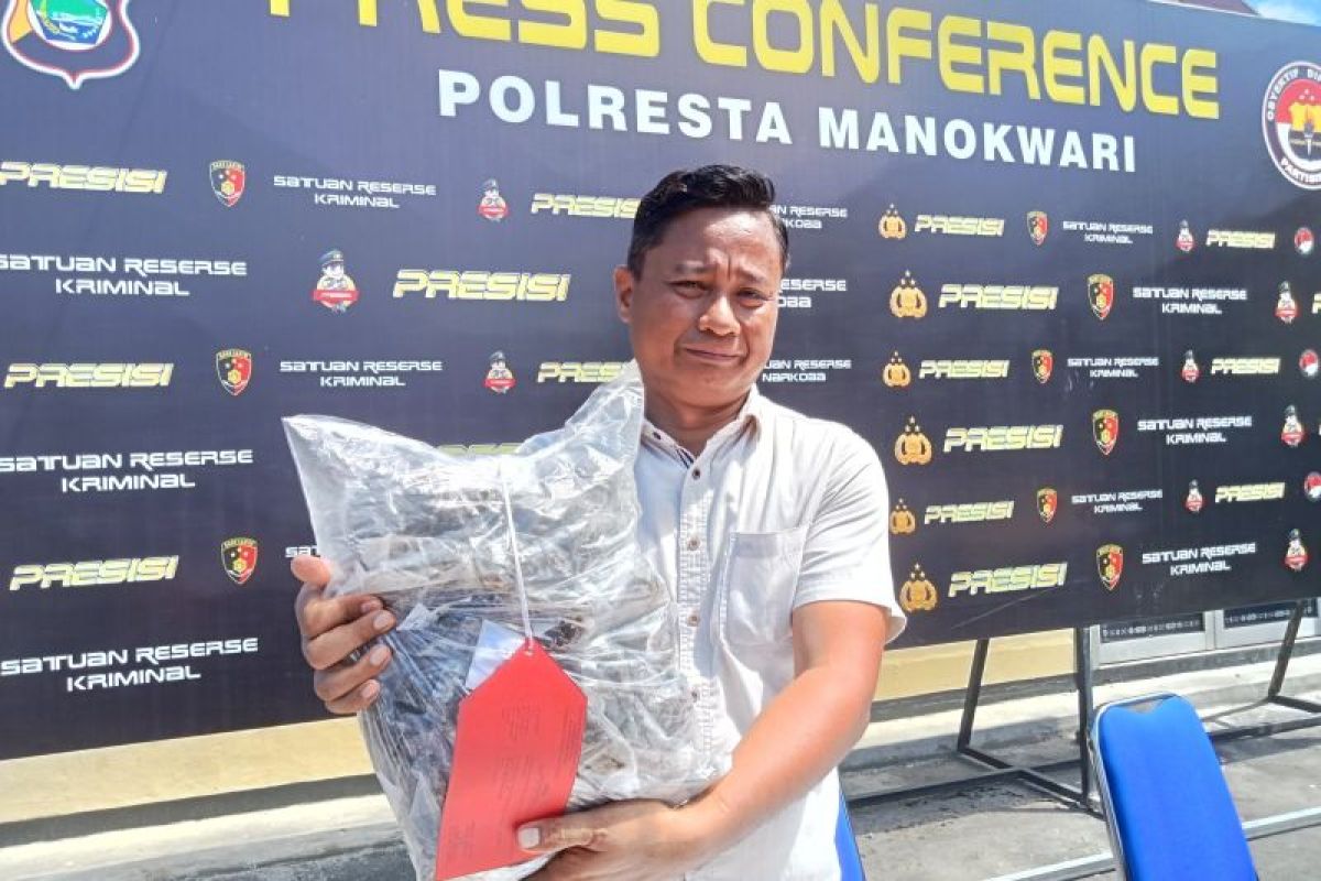 Polresta Manokwari tangkap pengedar ganja 1,2 kilogram