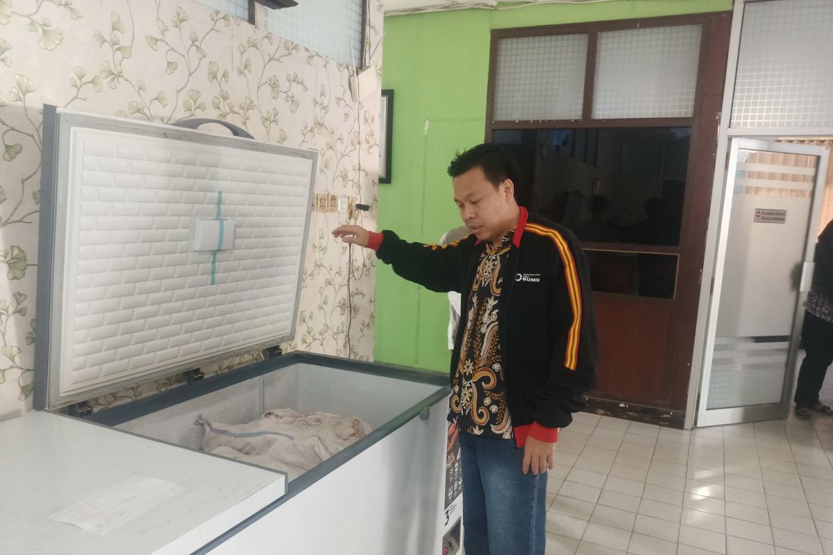 Bulog OKU Sumsel miliki stok 14 ton daging kerbau beku impor