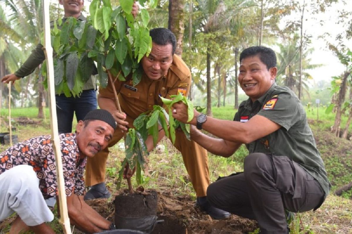 Desa di Pariaman tanam ribuan pohon untuk penghijauan daerah