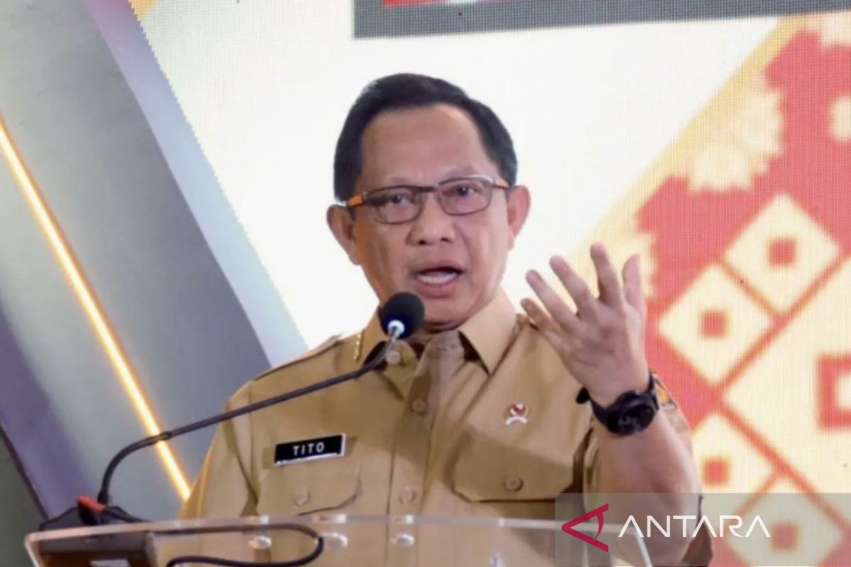 Mendagri Tito sampaikan opsi pelantikan kepala daerah serentak