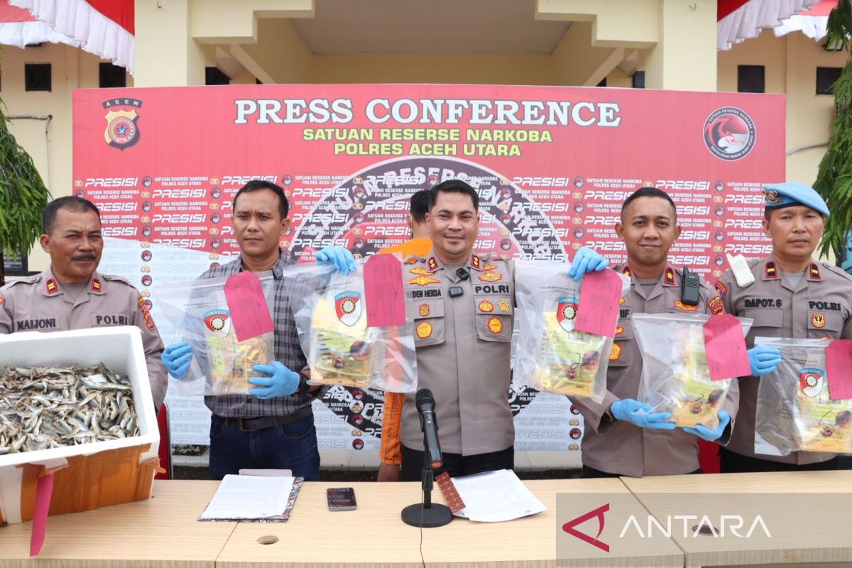 Polisi gagalkan peredaran 6 kilogram sabu dengan modus paket ikan asin