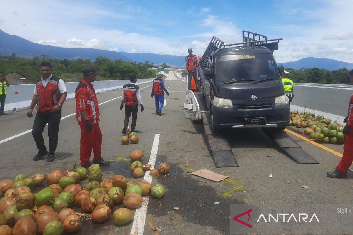 Mobil pikap bermuatan buah kelapa terbalik di Jalan Tol Sigli-Banda Aceh