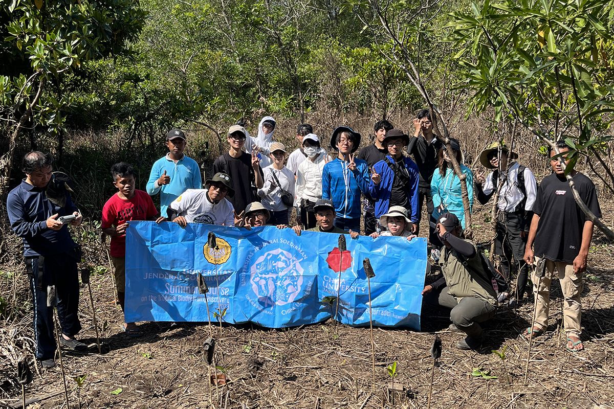 Unsoed libatkan mahasiswa asal Jepang dalam penanaman mangrove di Cilacap