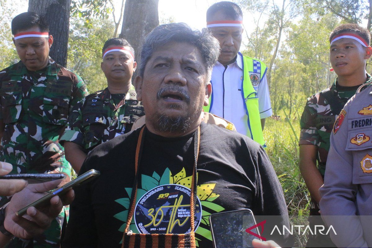 BBKSDA Papua belum melakukan penegakan hukum ke warga bakar lahan hutan