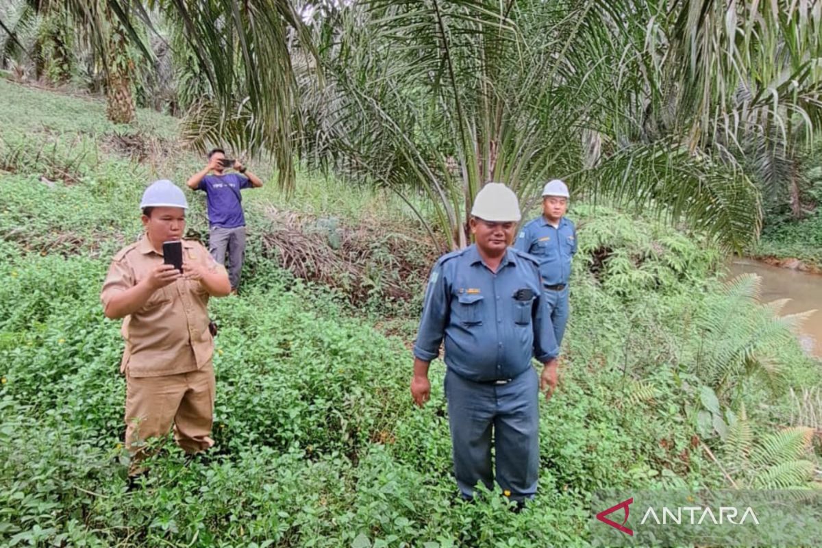 Mukomuko minta pabrik keruk limbah cegah pencemaran lingkungan