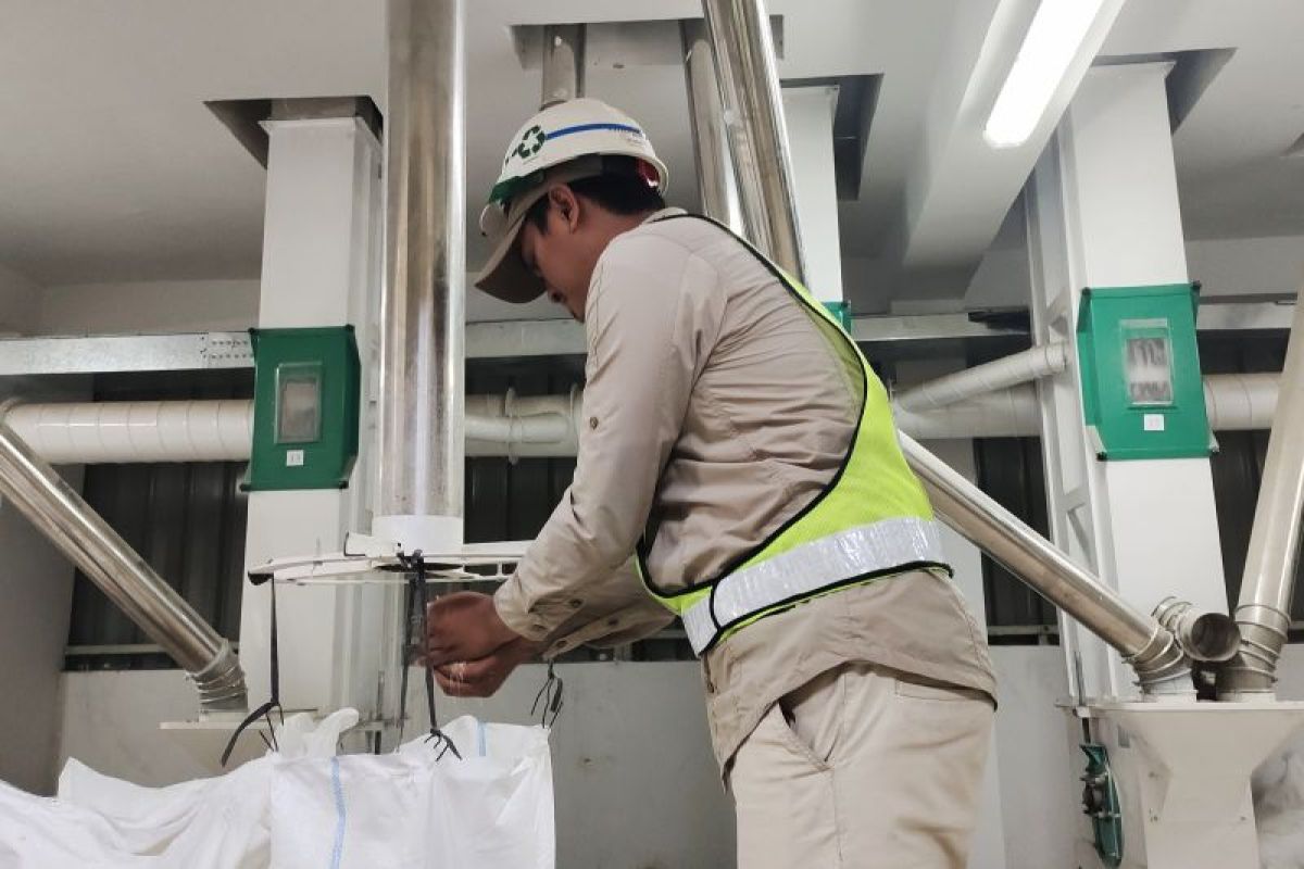 Bulog Lampung: Pabrik pengolahan beras modern bantu serap gabah petani