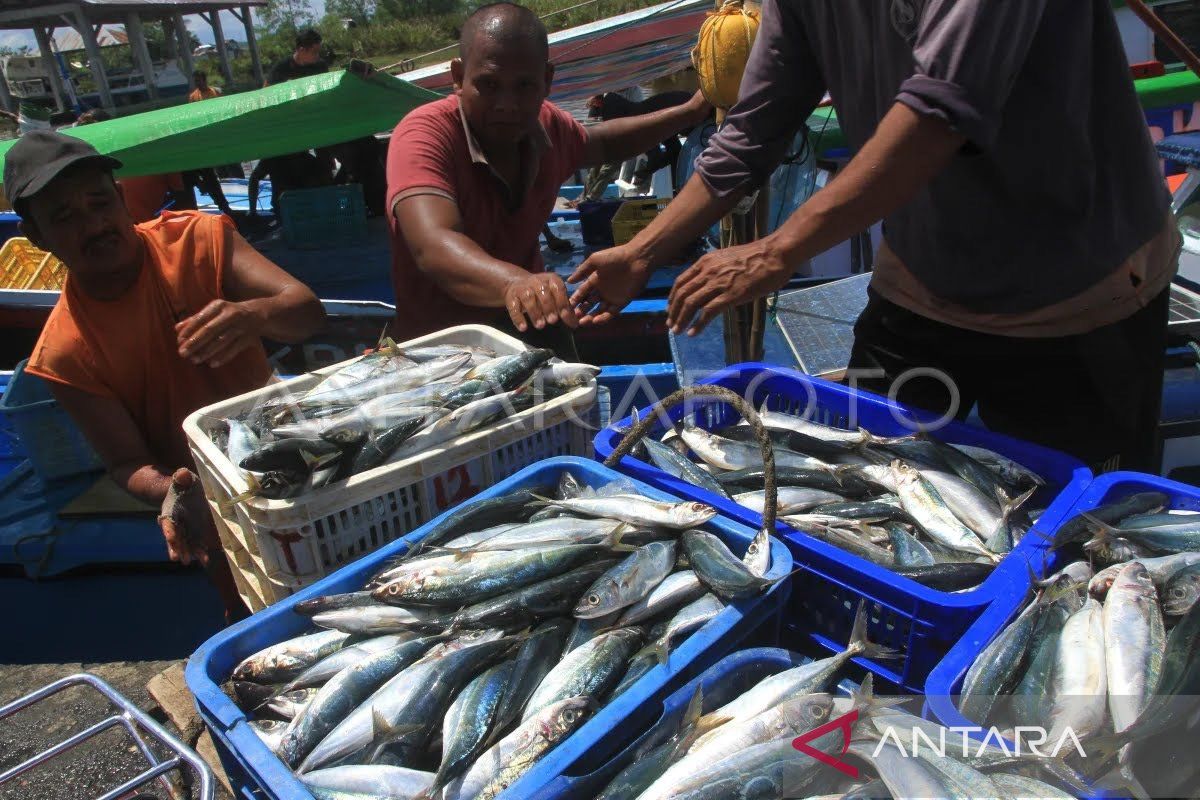 Cuaca buruk, hasil tangkapan nelayan Abdya menurun
