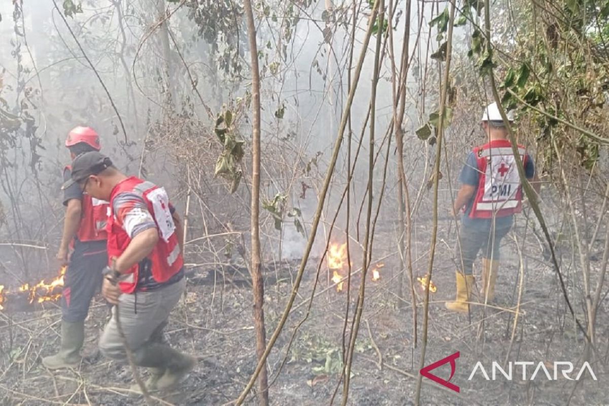 PMI Sukabumi kerahkan personel bantu padamkan api Gunung Walat