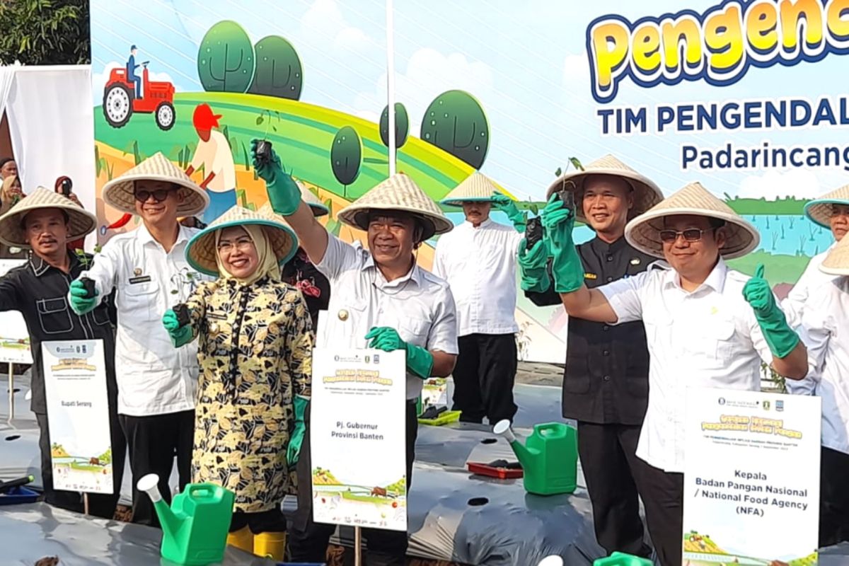   Bank Indonesia dan Provinsi Banten lakukan gerakan tanam cabai 