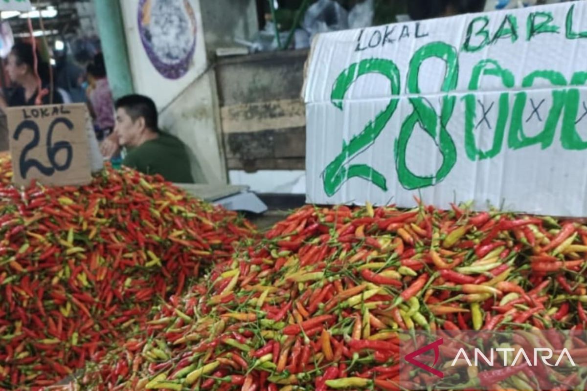 Kalbar sediakan bantuan budidaya cabai untuk kendalikan inflasi