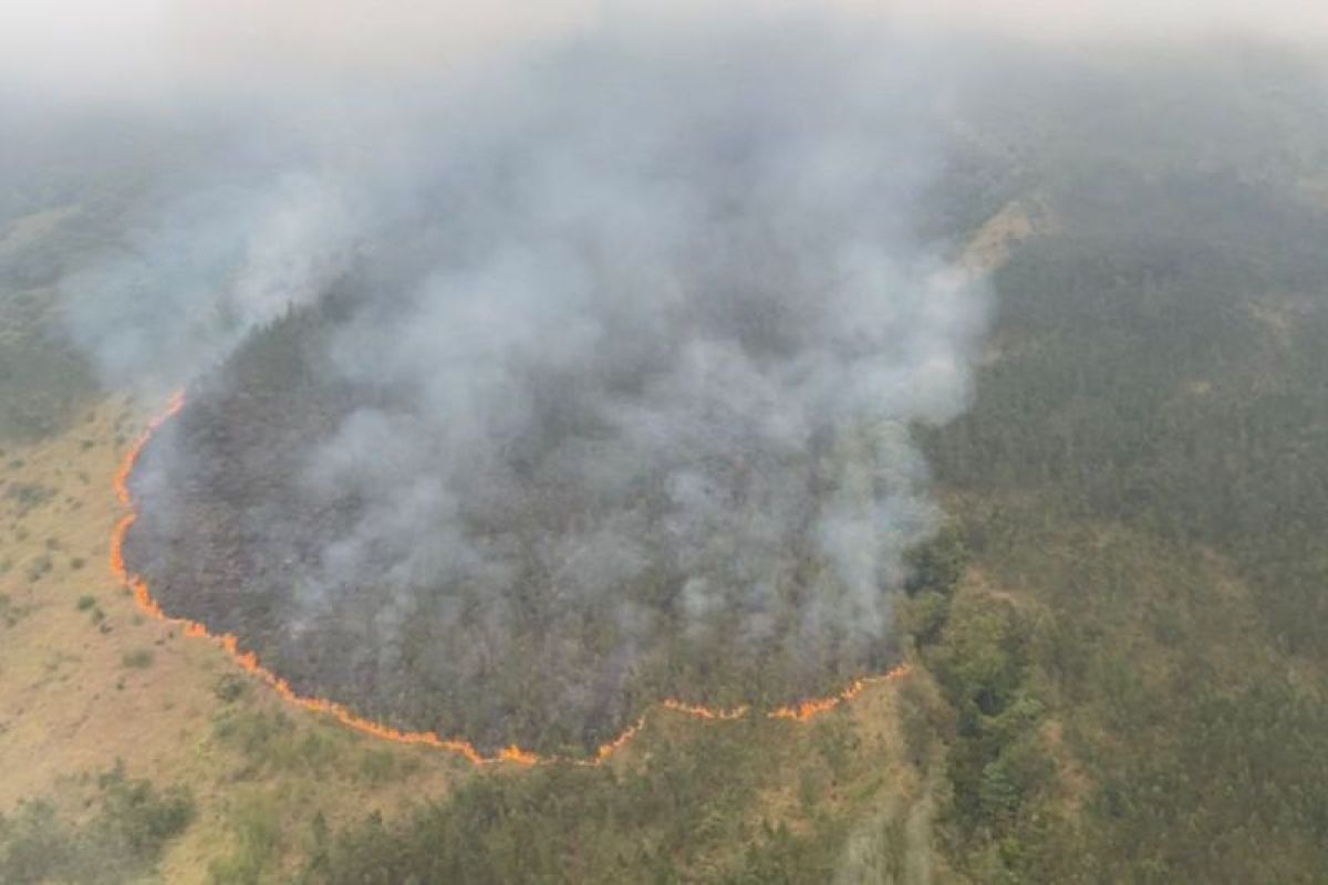 Gubernur Khofifah pimpin operasi pemadaman kebakaran hutan di Arjuno