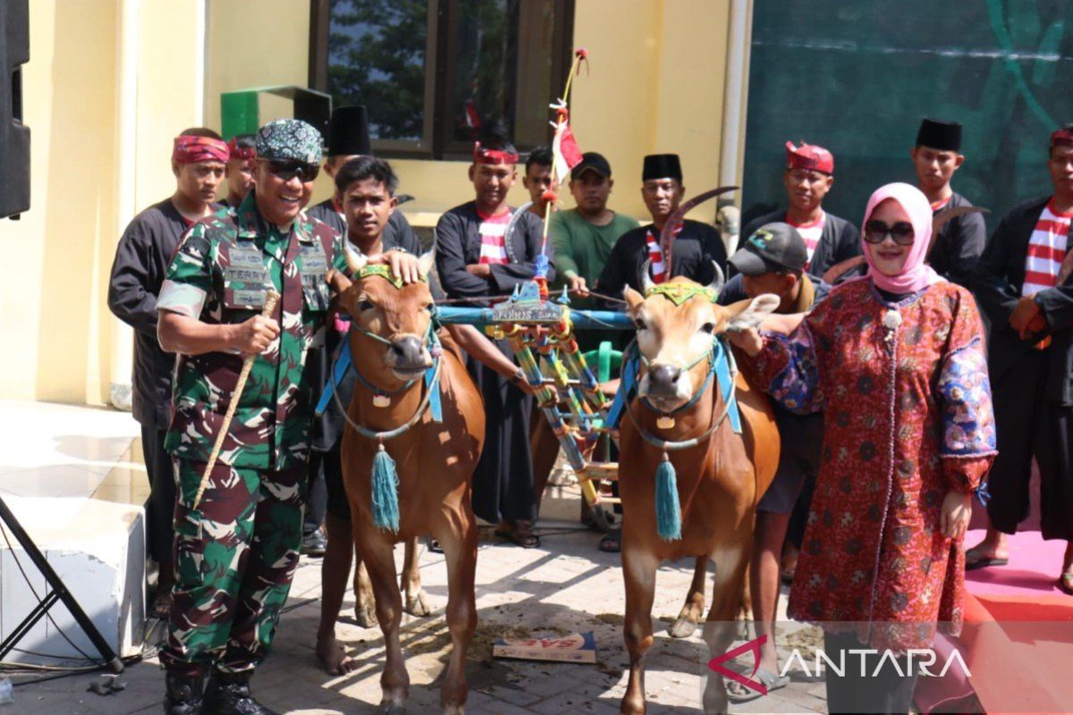 Karapan sapi perebutkan Piala Panglima TNI digelar di Madura