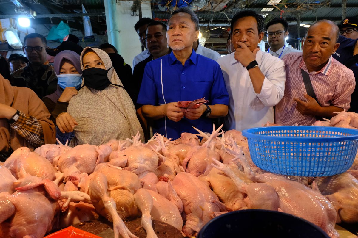 Mendag tinjau stok-harga pangan di Pasar Flamboyan