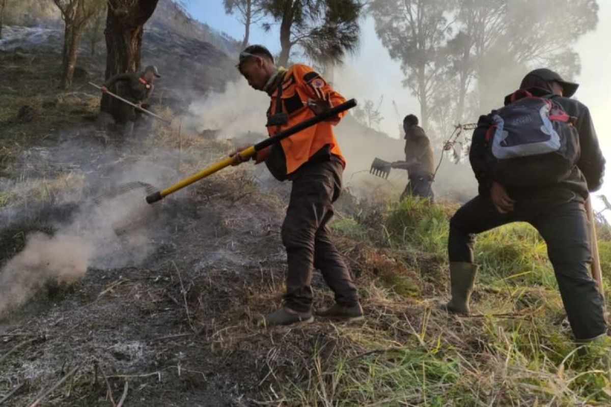 Kebakaran hutan-lahan di Savana Gunung Bromo terus dipantau BPBD