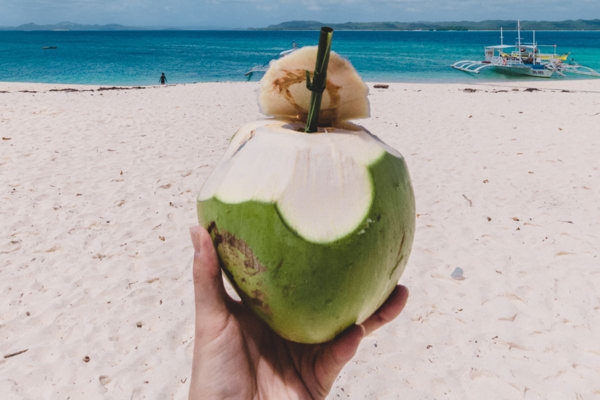 Bolehkah minum air kelapa setiap hari? Begini penjelasan ahli gizi.