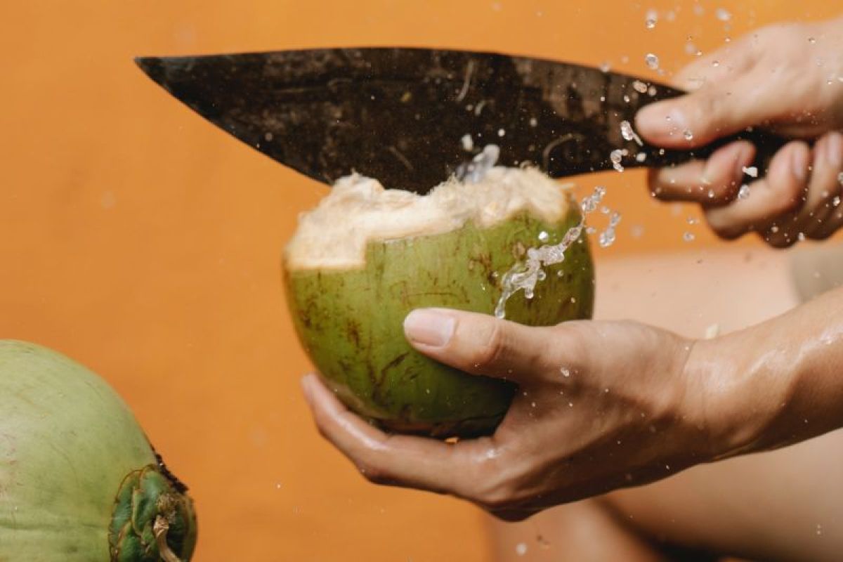 Lima alasan perlu konsumsi kelapa lebih banyak
