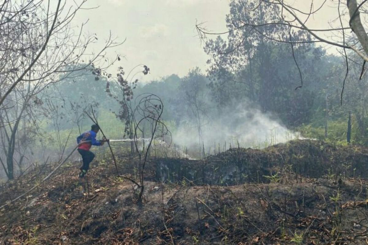 BPBD Penajam bersama para pihak padamkan tiga titik  karhutla