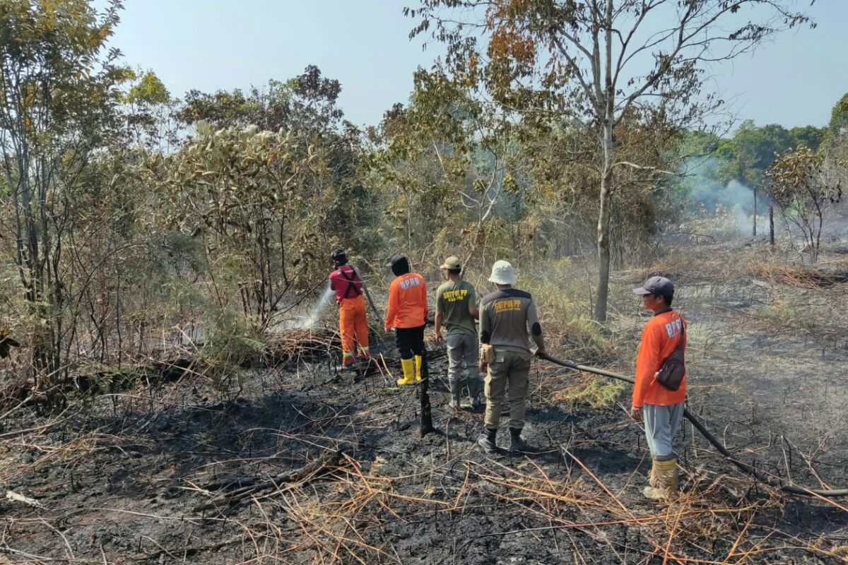 BMKG deteksi 182 titik panas di Kalimantan Timur