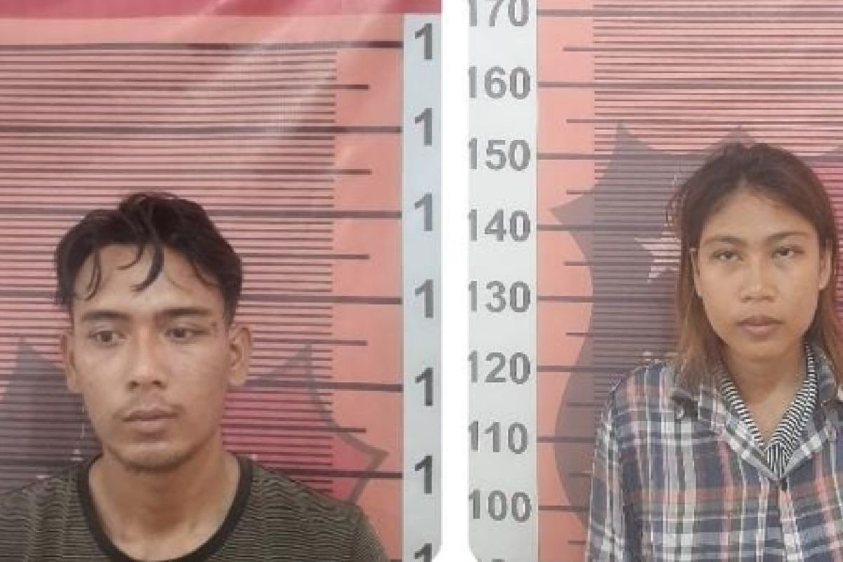 Gelapkan mobil, pasutri asal Riau ditangkap di Medan
