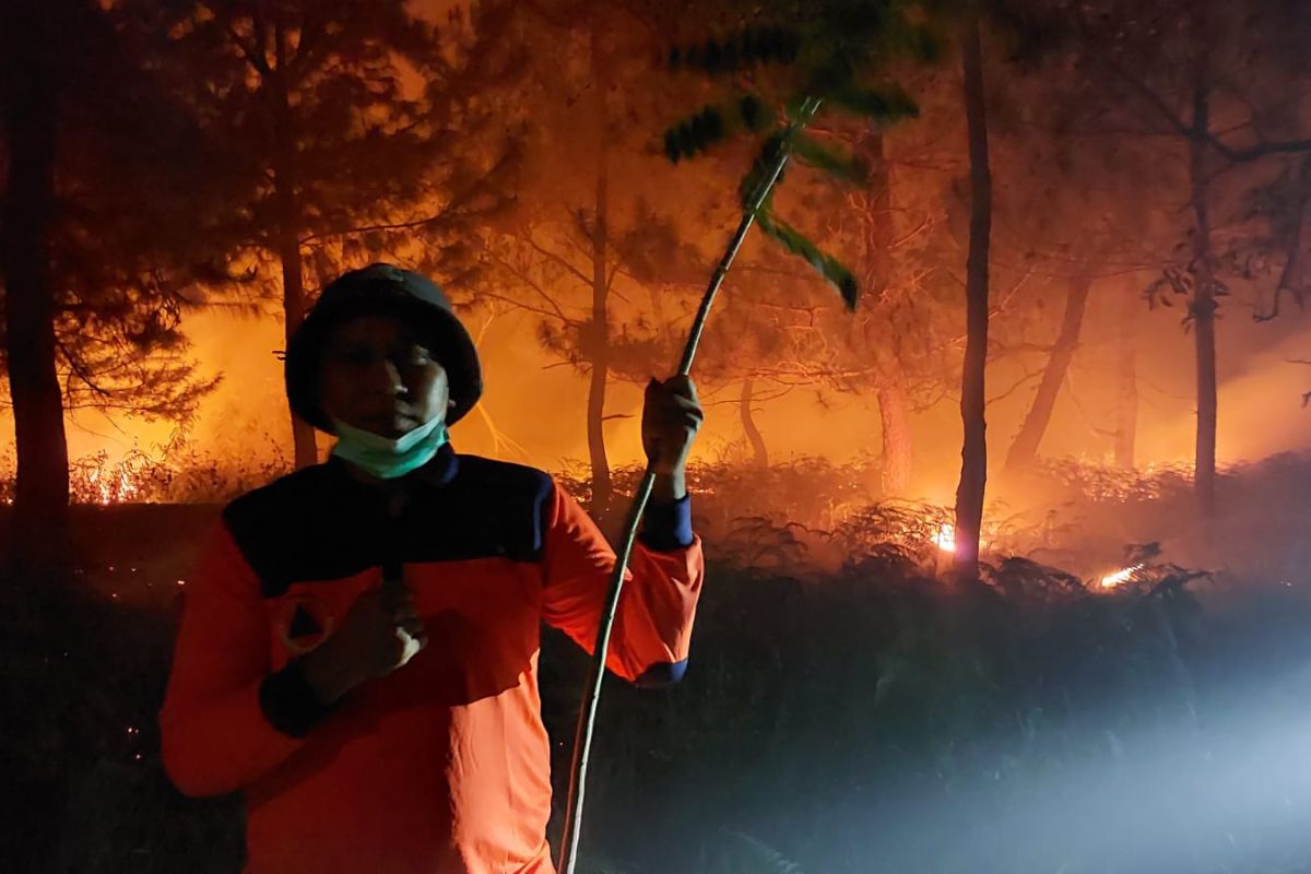 Seribuan hektare kawasan Hutan Lindung Gunung Soputan habis terbakar