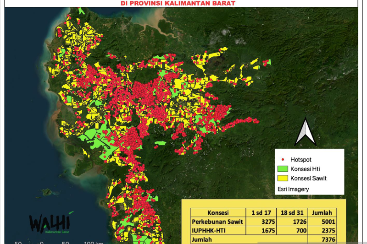 Walhi temukan 7.376 titik api di 235 konsesi sawit dan HTI di Kalbar