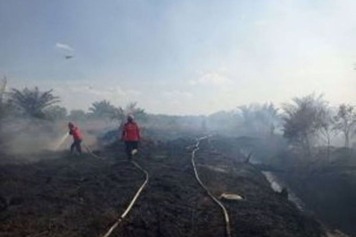 Petugas gabungan lakukan pendinginan karhutla di Inhil dan Inhu