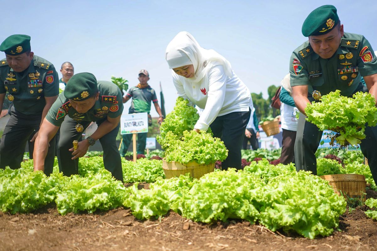 Pemprov Jatim mengoptimalkan lahan tidur tingkatkan ketahanan pangan