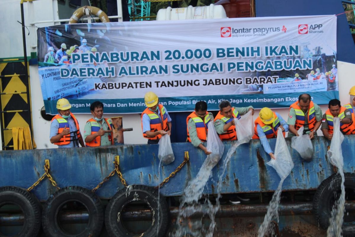 Perusahaan swasta tabur 20 ribu benih ikan di Sungai Pengabuan